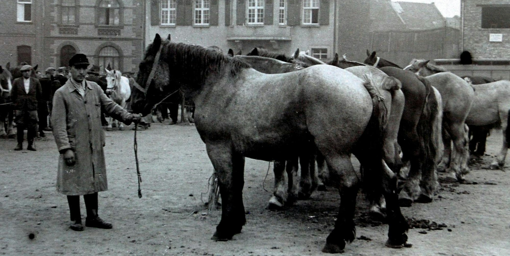 Mit den Bauern verschwanden auch die Viehmärkte. Dieses Bild entstand um 1948 auf dem Annaturmplatz.