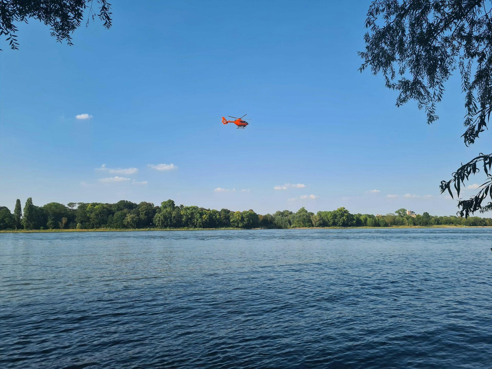 Rhein Suche Schwimmer 1