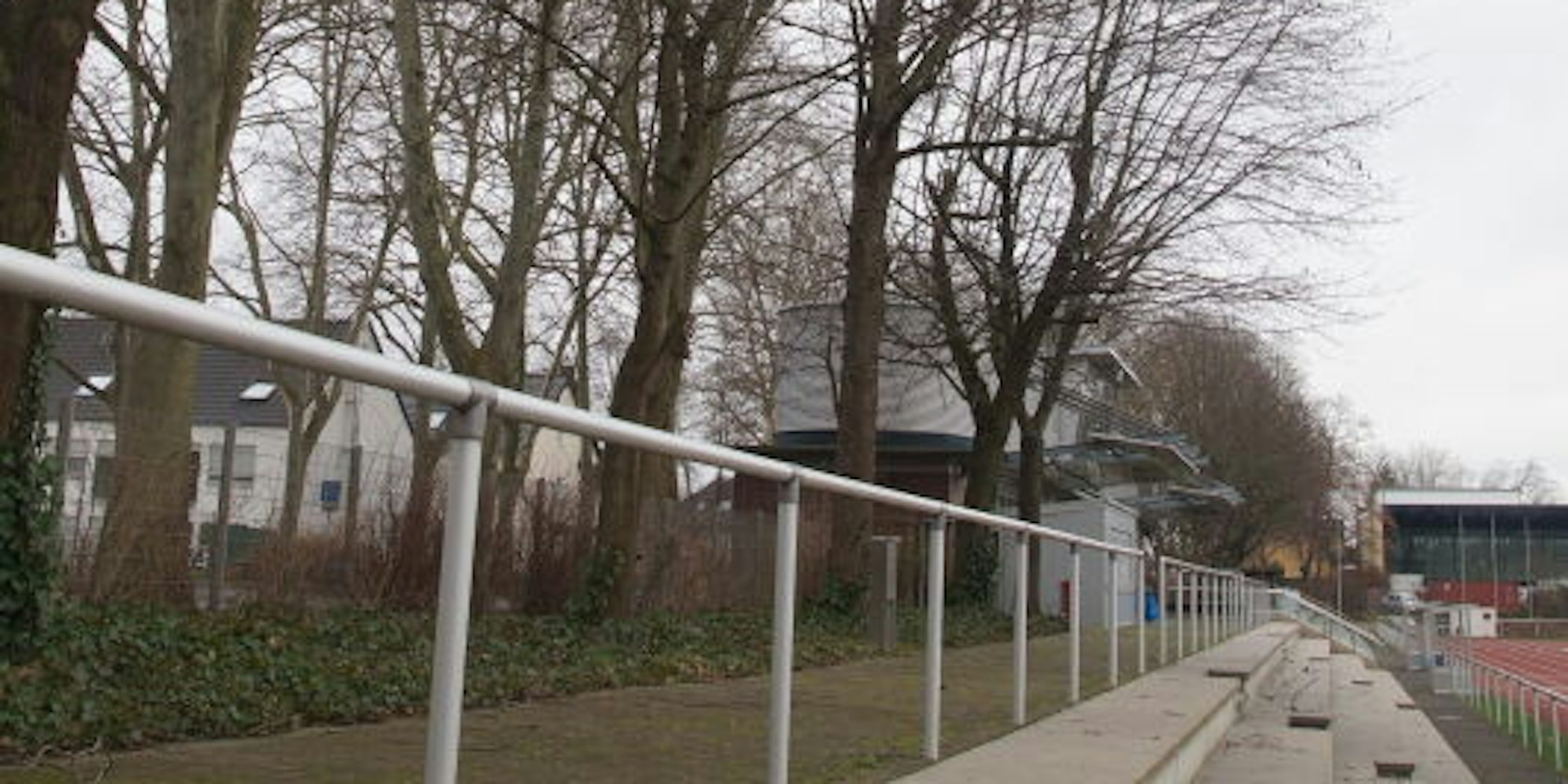 Zwölf Ahornbäume an der Tribüne im Ulrike-Meyfarth-Stadion werden im Februar gefällt.