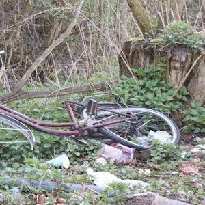 Eine Fahrradleiche liegt im Gestrüpp am Bahndamm.