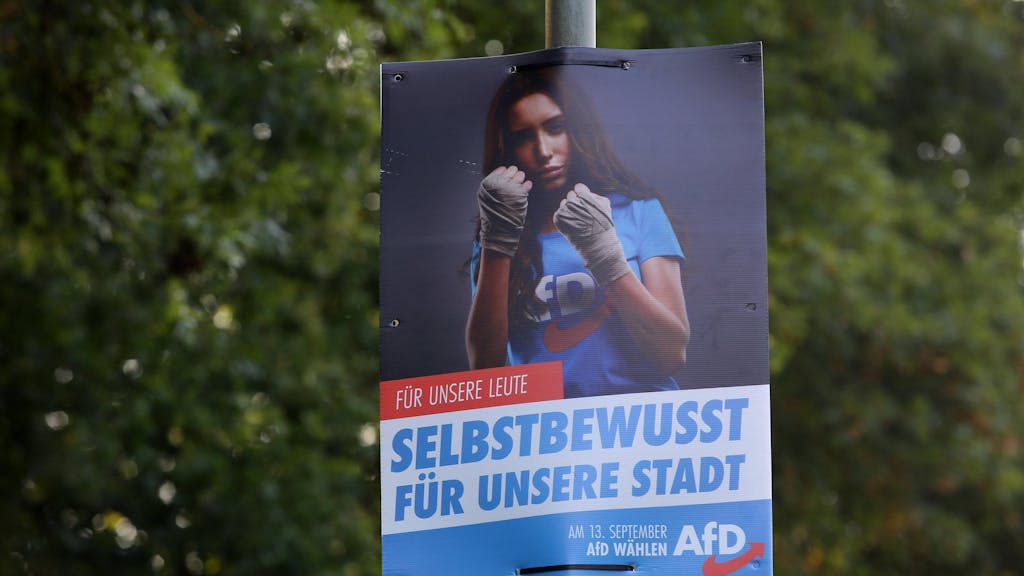 AfD_Wahlplakat-NRW_Freudenberg