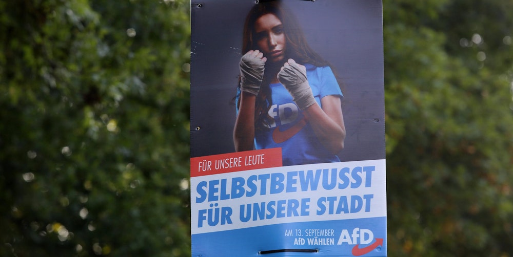 AfD_Wahlplakat-NRW_Freudenberg
