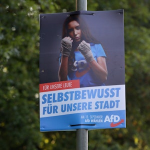 Ein AfD-Wahlplakat in Freudenberg
