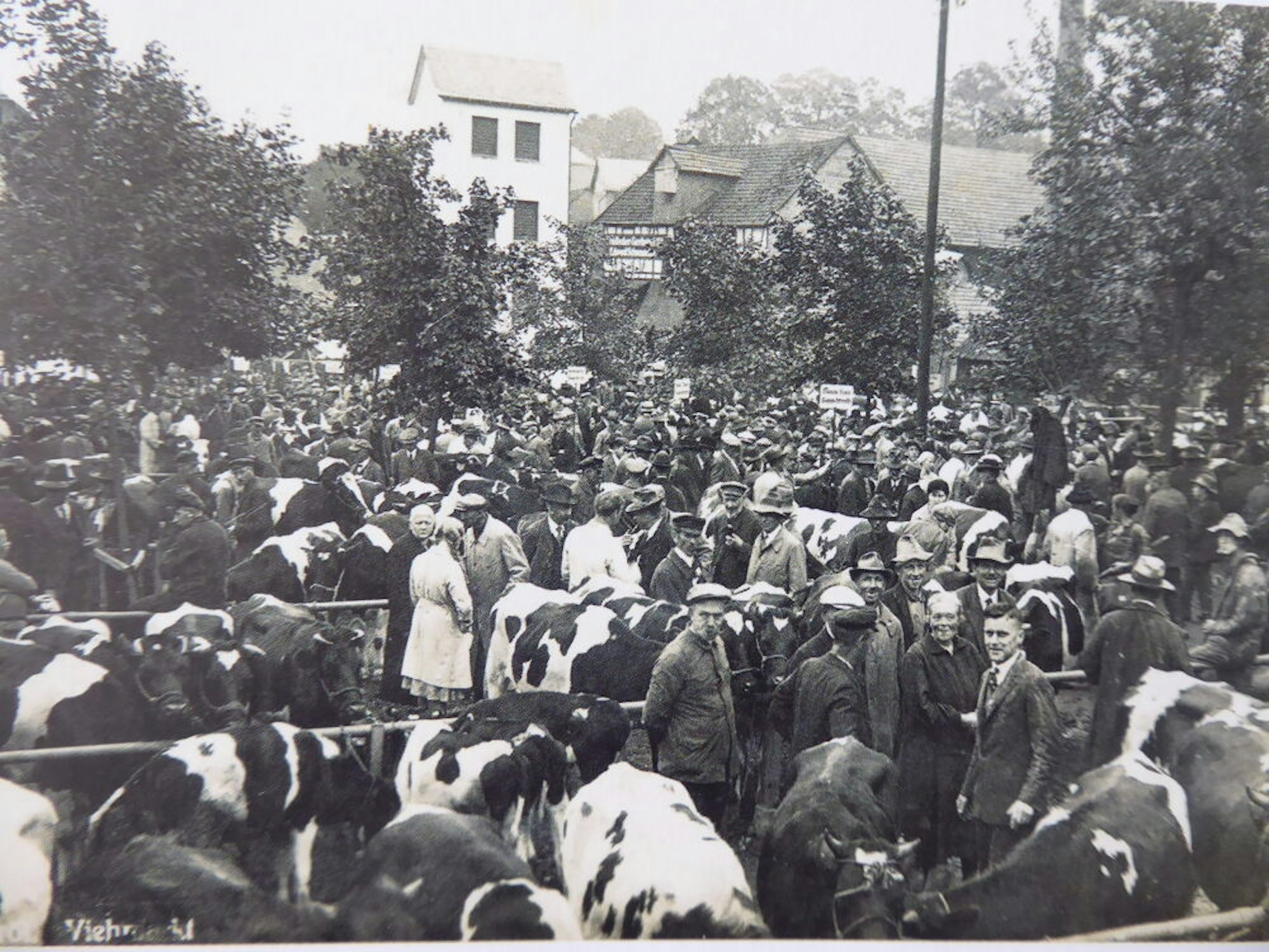 Um das Jahr 1930 entstand dieses Bild vom Viehmarkt im Oberbergischen Waldbröl, viele Juden trieben seinerzeit Viehhandel auch hier in der Region.
