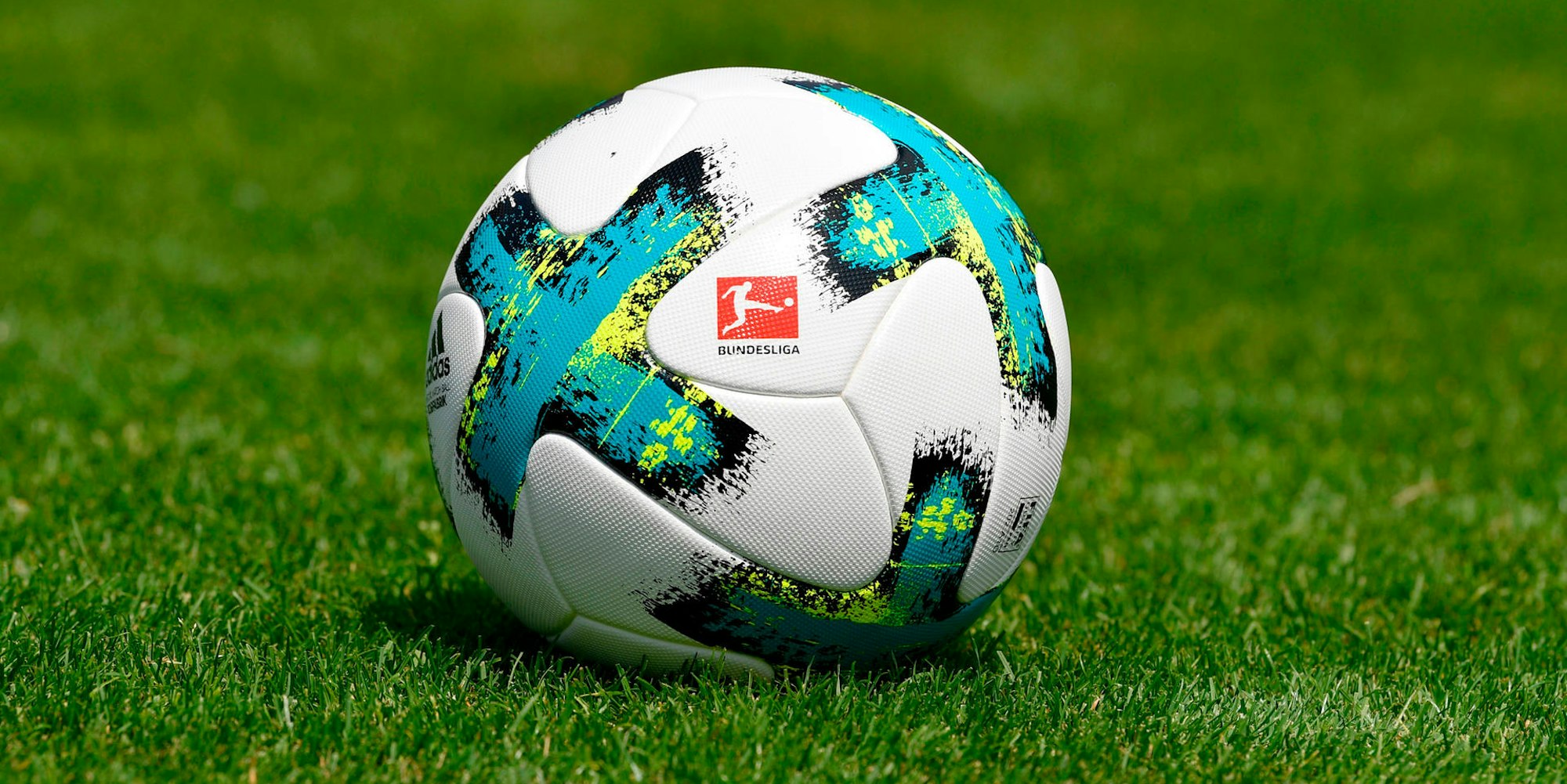 Bundesliga DFL Ball
