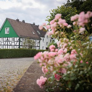 Die Fassade des Fachwerkhauses in Marienhagen ist teilweise grün.&nbsp;