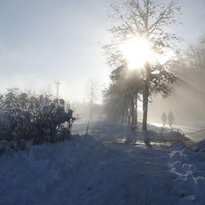 Vor allem in der Woche bieten Schneetage am Weißen Stein die Möglichkeit, bei einem ausgedehnten Winterspaziergang die Seele baumeln zu lassen.