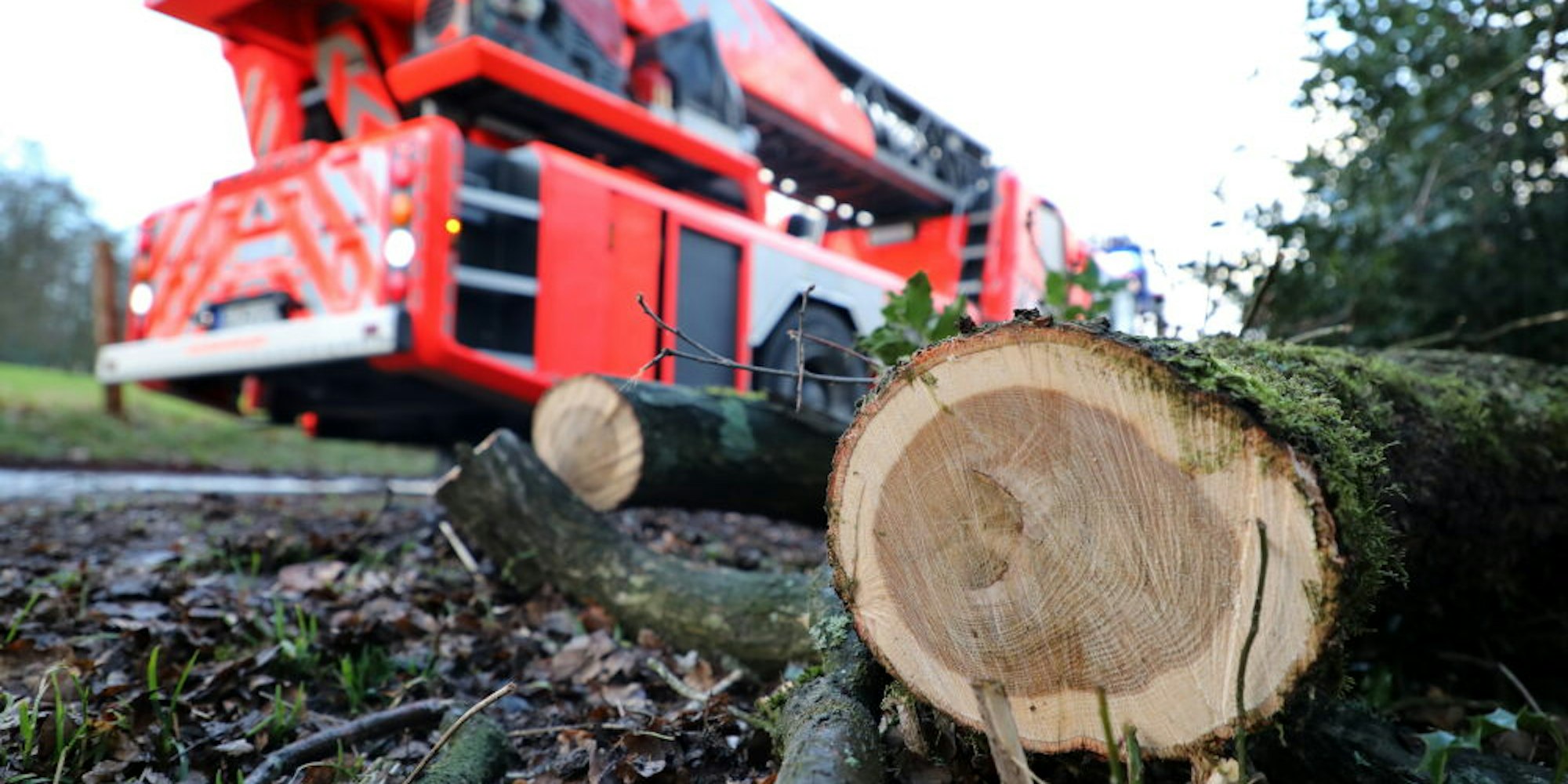 Vielerorts mussten Autofahrer warten, bis die Feuerwehr umgestürzte Bäume von Straßen entfernt hatte.