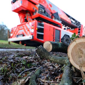 Vielerorts mussten Autofahrer warten, bis die Feuerwehr umgestürzte Bäume von Straßen entfernt hatte.