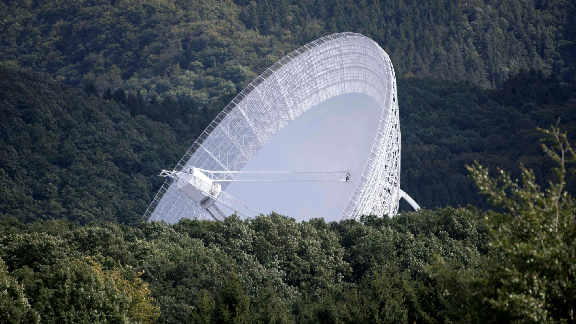 Wie in einem Science-Fiction-Film ragt die Antenne des Radioteleskops von Effelsberg aus dem Wald.