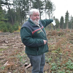 Die Jahre Problemjahre 2018/2019 werden Förster Wolfgang Blass im Wald noch auf Jahre beschäftigen.