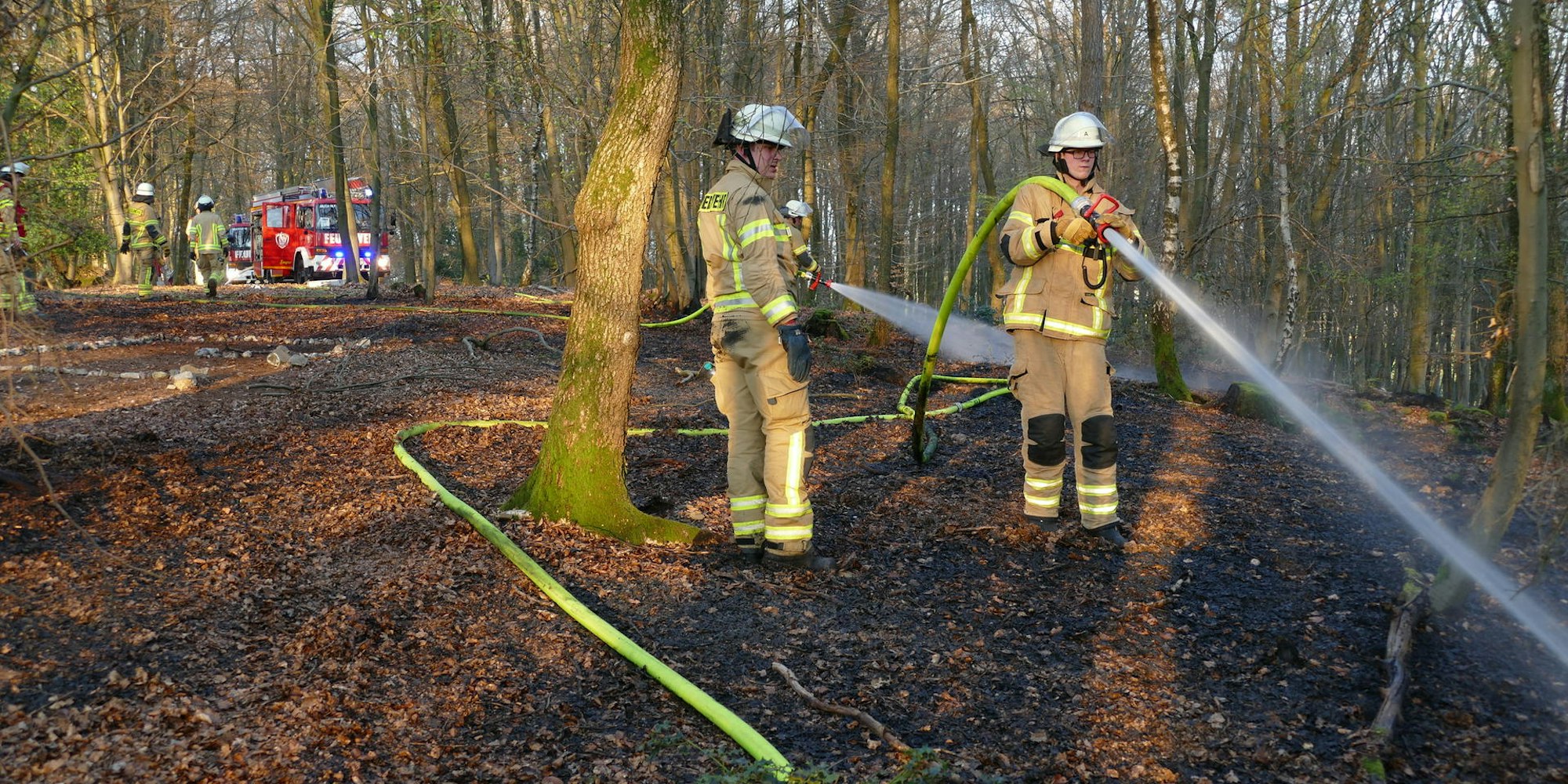 Im Busch zwischen Much-Gibbinghausen und Heinenbusch brannte es auf rund 500 Quadratmetern.